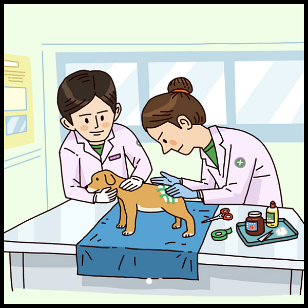 우리동네동물병원-지원사업