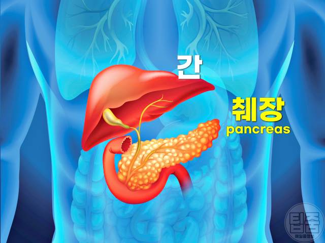 췌장에 좋은 음식 췌장염 회복 식단