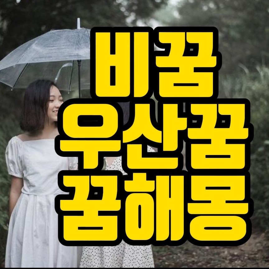  [꿈해몽]비내리는꿈,비맞는꿈,장마꿈,우산꿈,소나기꿈,폭풍우꿈,비피하는꿈 꿈풀이 40선