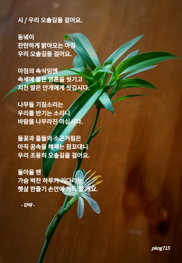 미완성 이미지