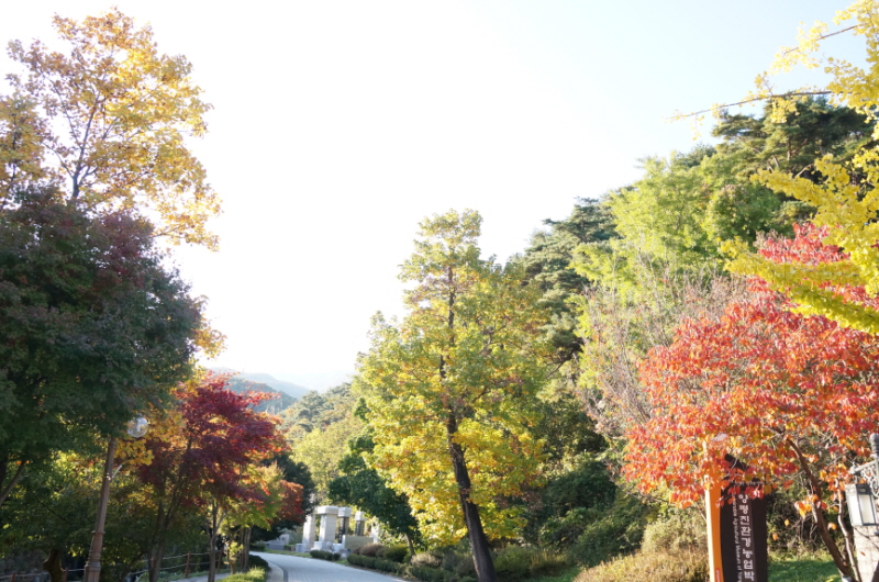 용문산-입구