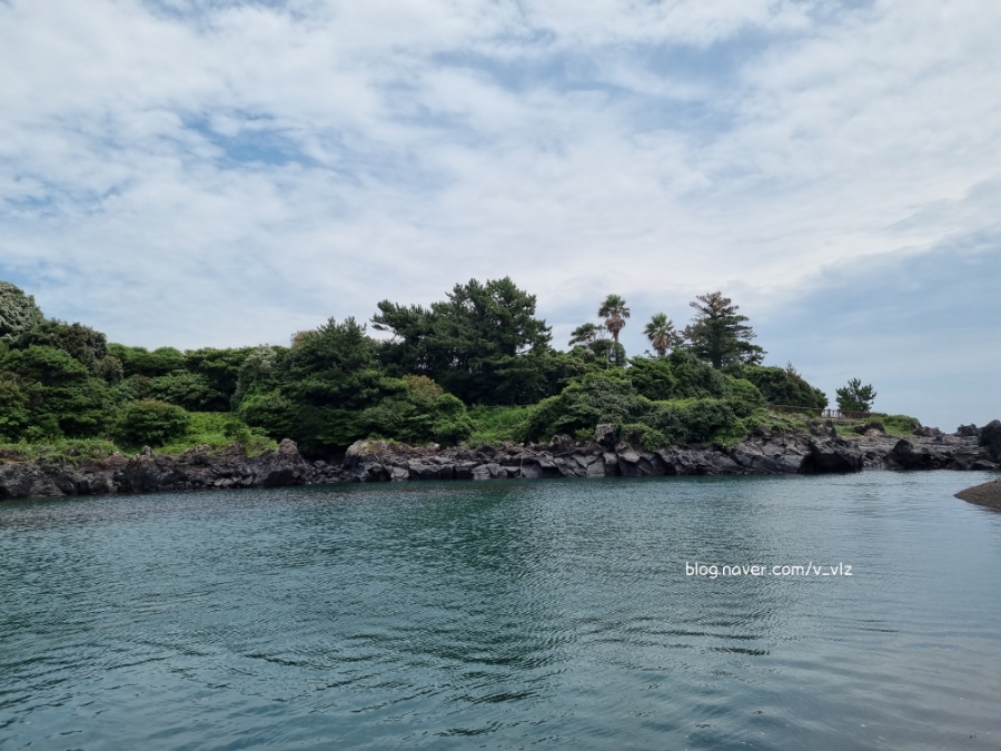 함께라면 전통테우 탑승 후기 제주 쇠소깍 어린 아이들과 35