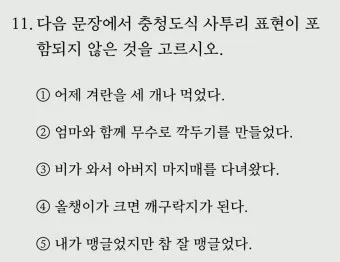 방언과 사투리 차이 의미 유래_13