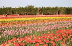 화담숲 예약방법