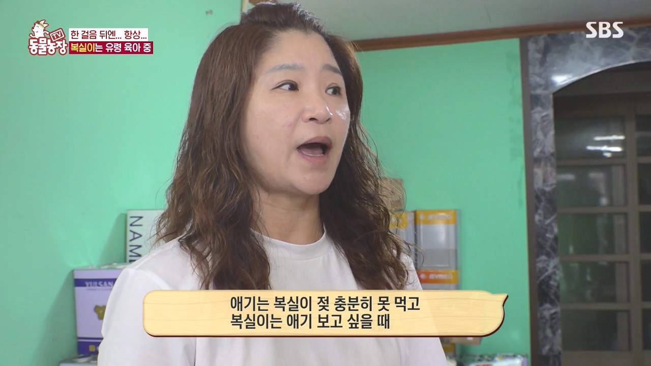 TV 동물농장.E1135.230828p-NEXT.mp4_20230827_180827.423.jpg