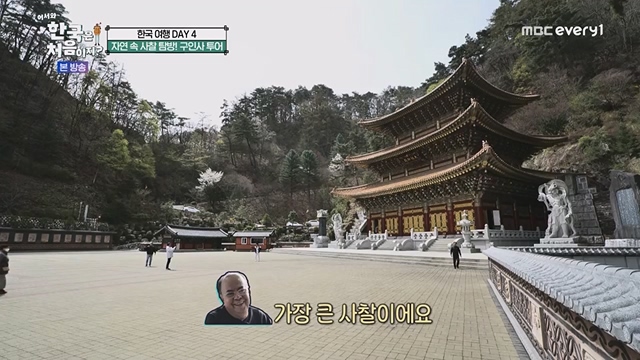 어서와 한국은 처음이지.E267.230616p.WANNA.mp4_20230616_210503.314.jpg