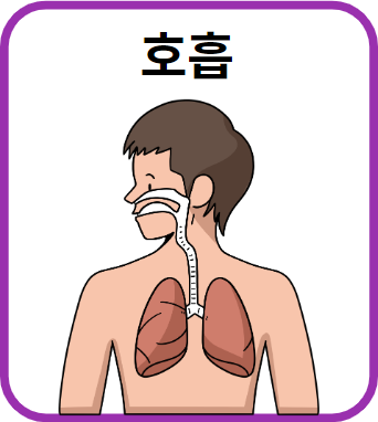 호흡