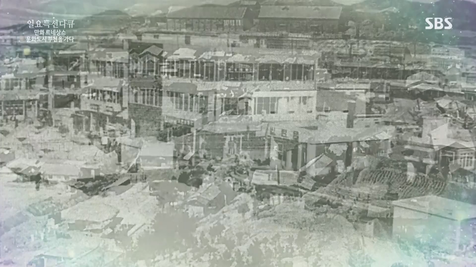 일요 특선 다큐멘터리.E322.231001p.H264-F1RST.mp4_20231002_175231.845.jpg