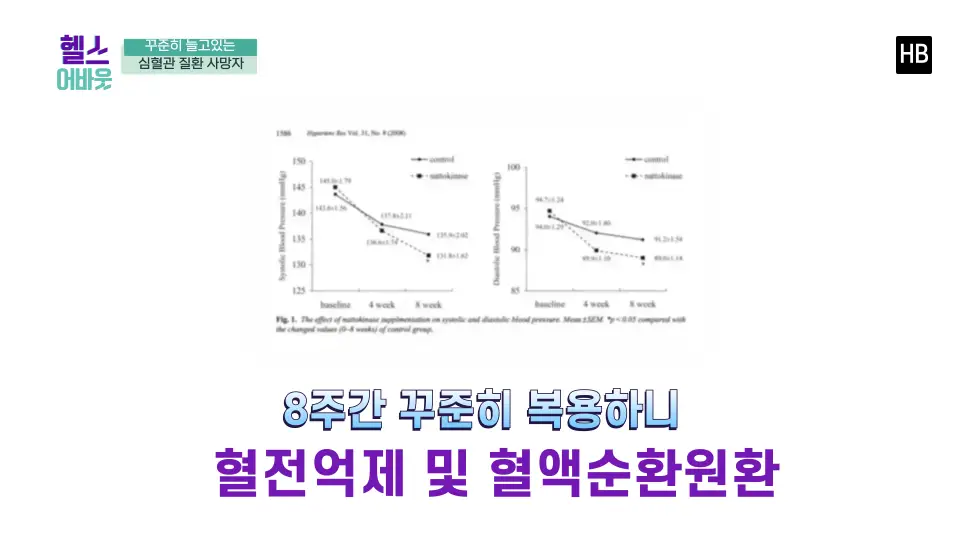 혈전용해제 나토키나제