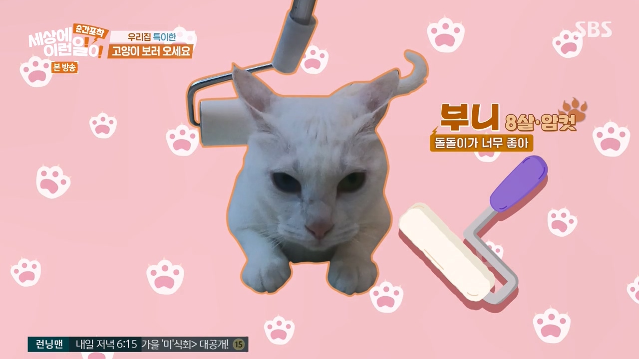 순간포착 세상에 이런일이.E1250.231029p-NEXT.mp4_20231029_151811.097.jpg