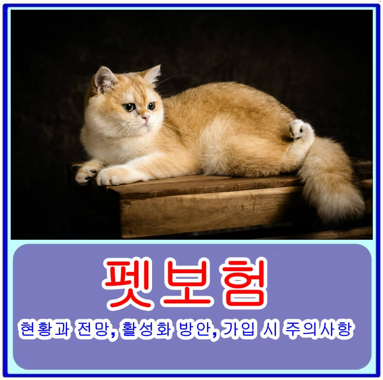  펫보험 알아보기: 현황과 전망, 보장범위, 활성화 방안, 가입 시 주의사항