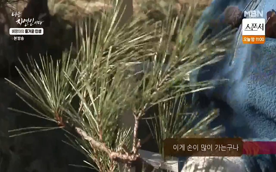 나는 자연인이다.E495.220331p-NEXT.mp4_20220331_174353.830.jpg