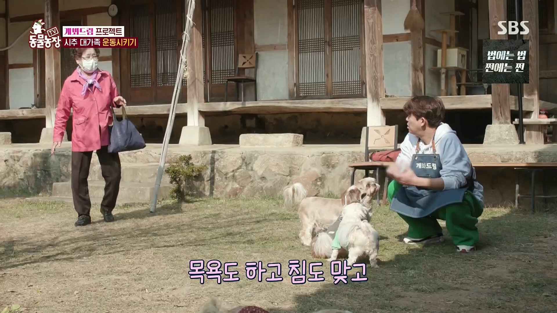 TV 동물농장.E1102.230101p.H264-F1RST.mp4_20230101_182850.044.jpg