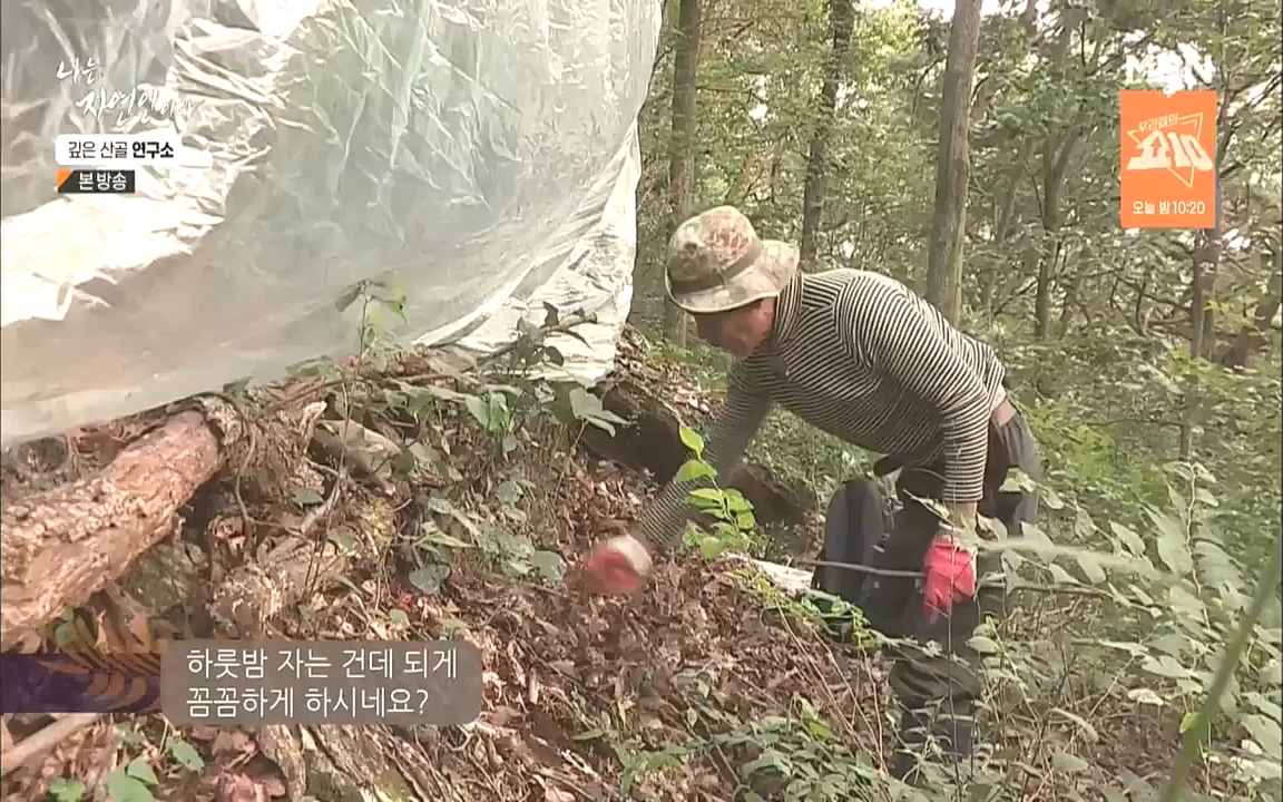 나는 자연인이다.E523.221013p.WANNA.mp4_20221013_201129.599.jpg