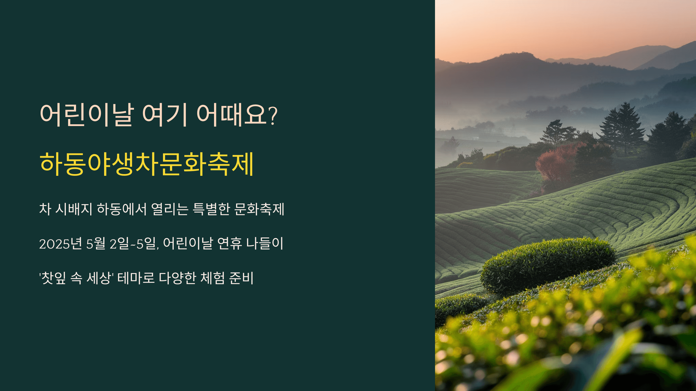 어린이날 가볼만한 곳! 하동야생차문화축제 완벽 가이드
