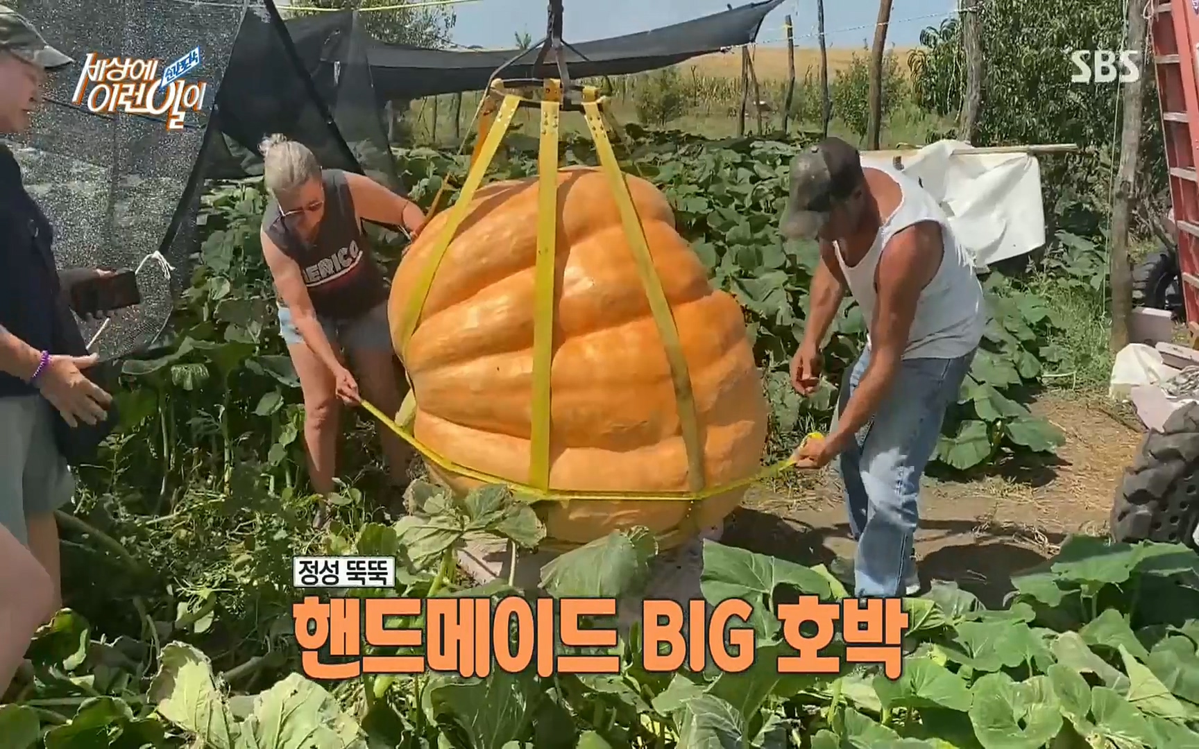 순간포착 세상에 이런일이.E1196.220906p.H264-F1RST.mp4_20220907_200252.421.jpg