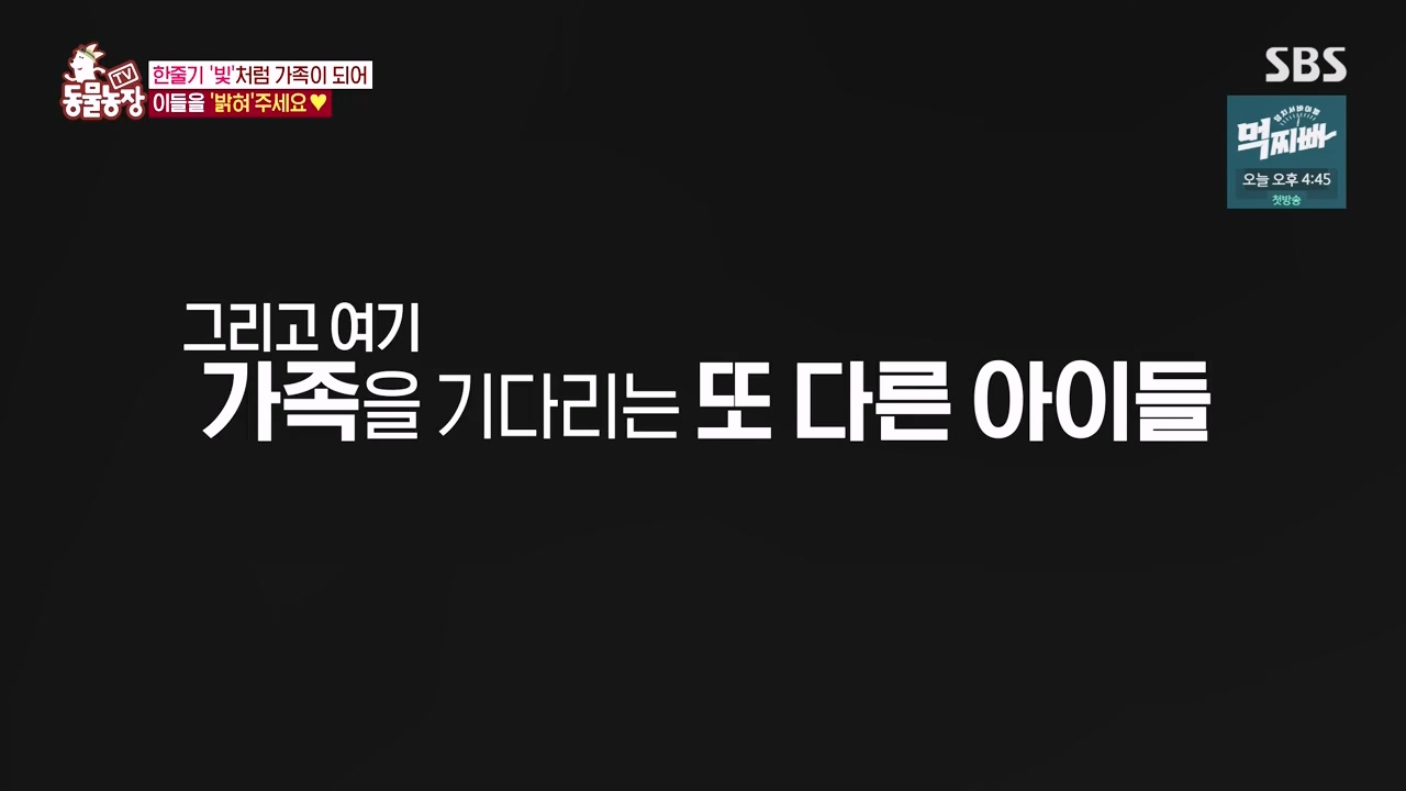 TV 동물농장.E1140.231009p-NEXT.mp4_20231008_174831.849.jpg