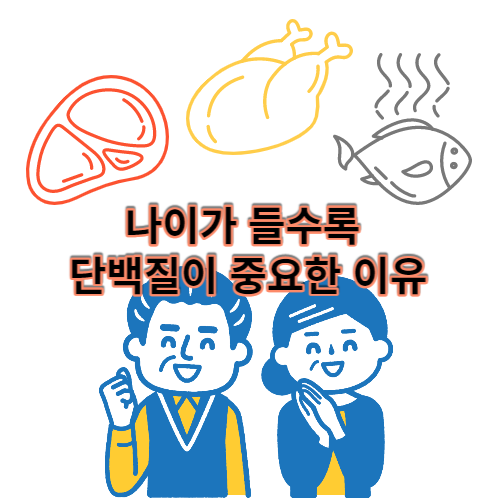  나이가 들수록 단백질이 중요한 이유