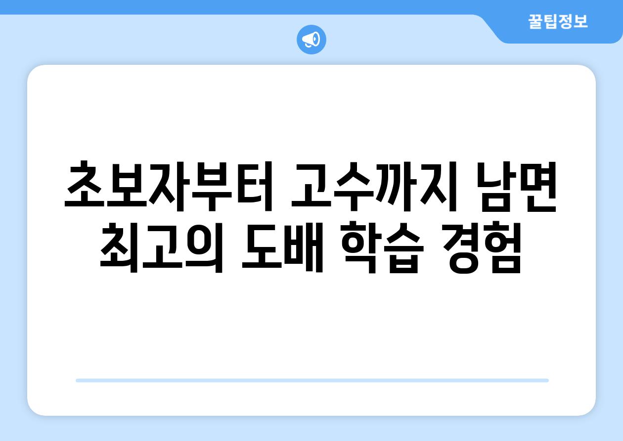 초보자부터 고수까지 남면 최고의 도배 학습 경험