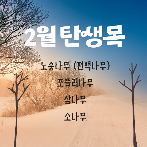  2월 탄생목 - 노송나무(편백나무), 포플러나무, 삼나무, 소나무