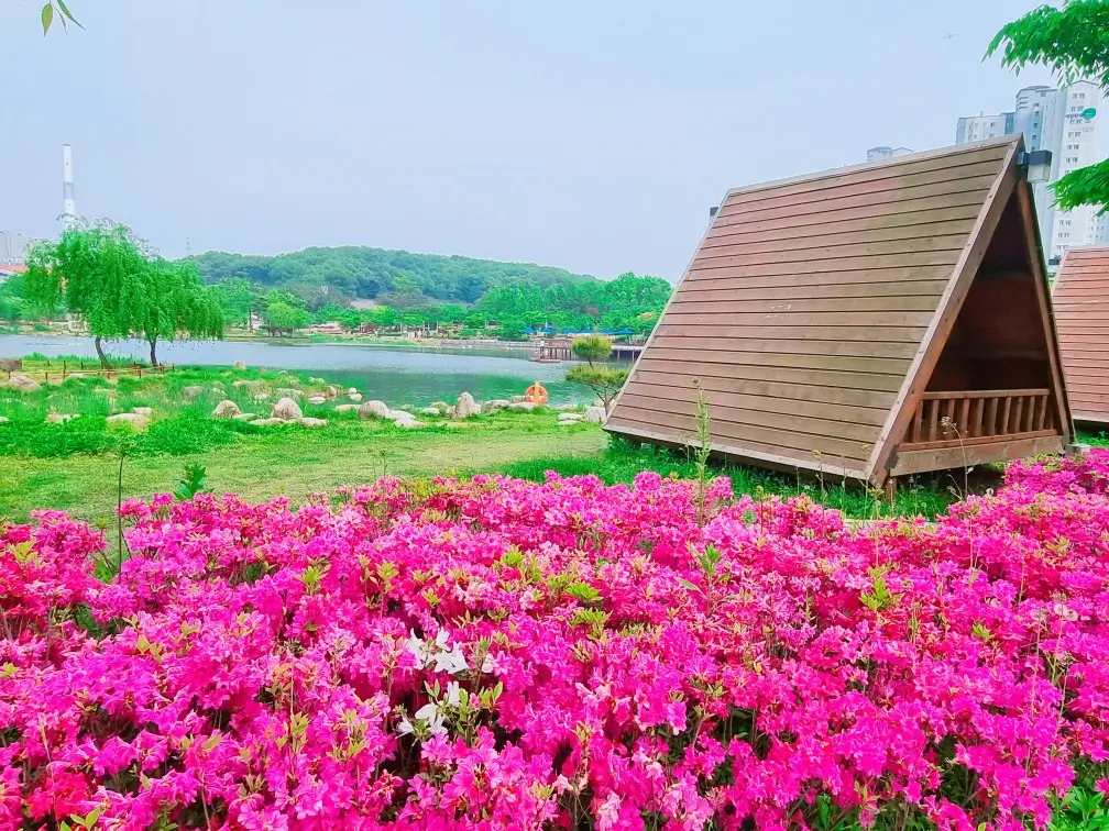 아이와 가기 좋은 곳 - 5월의 장미가 기다려지는 도심 속 김포호수공원