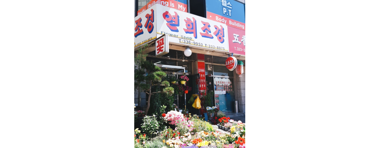 서울 서대문구 조경