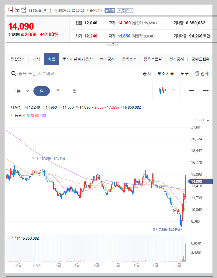 나노팀 주가 분석