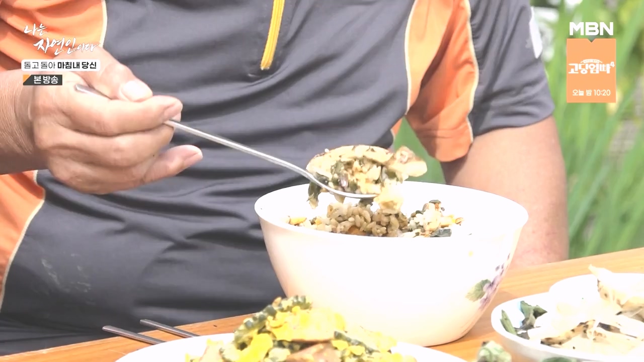 나는 자연인이다.E577.231026p-NEXT.mp4_20231026_200359.999.jpg