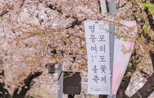 여의도 벚꽃 축제 사진