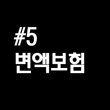  #5. 변액보험, 바로 알고 가입하기