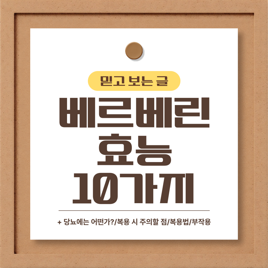  베르베린 효능 10가지