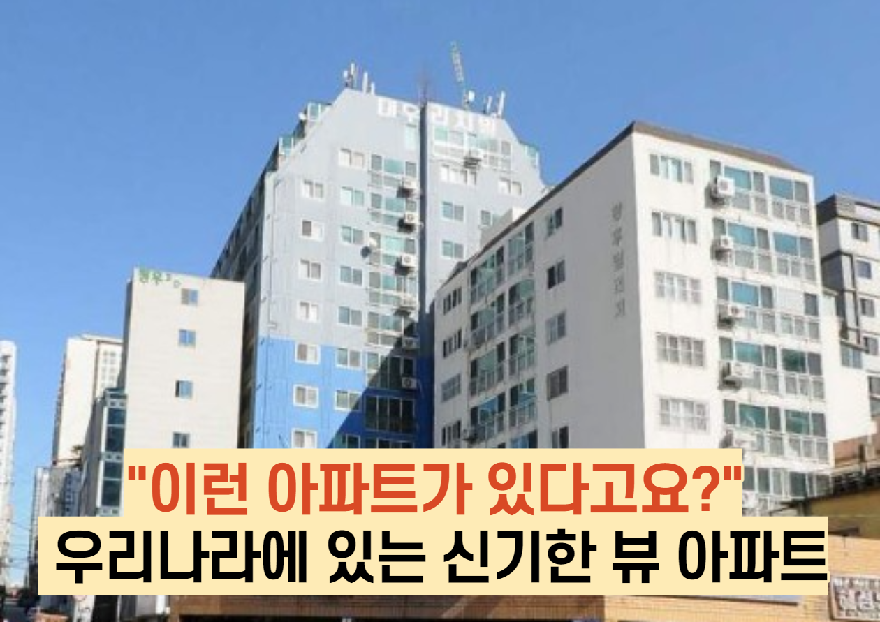  "이런 아파트가 있다고요?" 우리나라에 있는 신기한 뷰 아파트