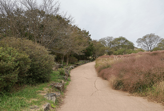 합천 황매산 억새 축제