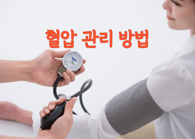 혈압관리방법
