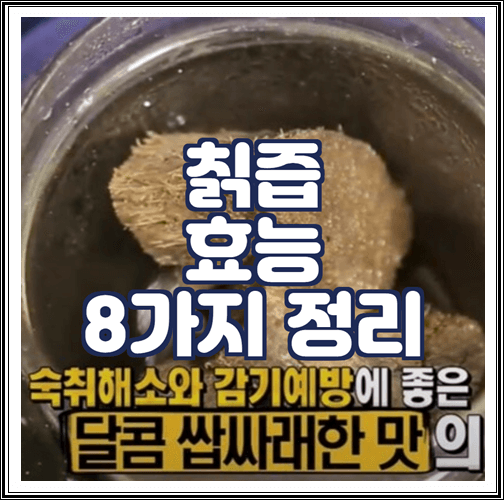  칡즙 효능 8가지 정리