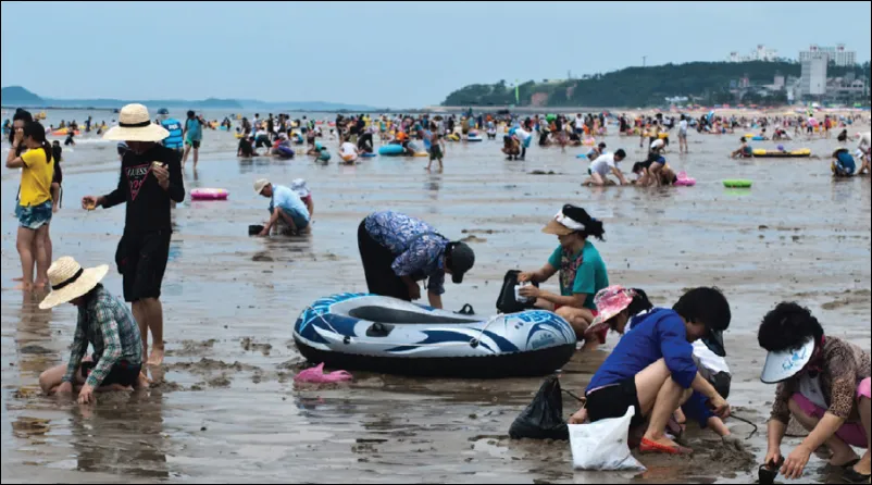 보령 머드축제