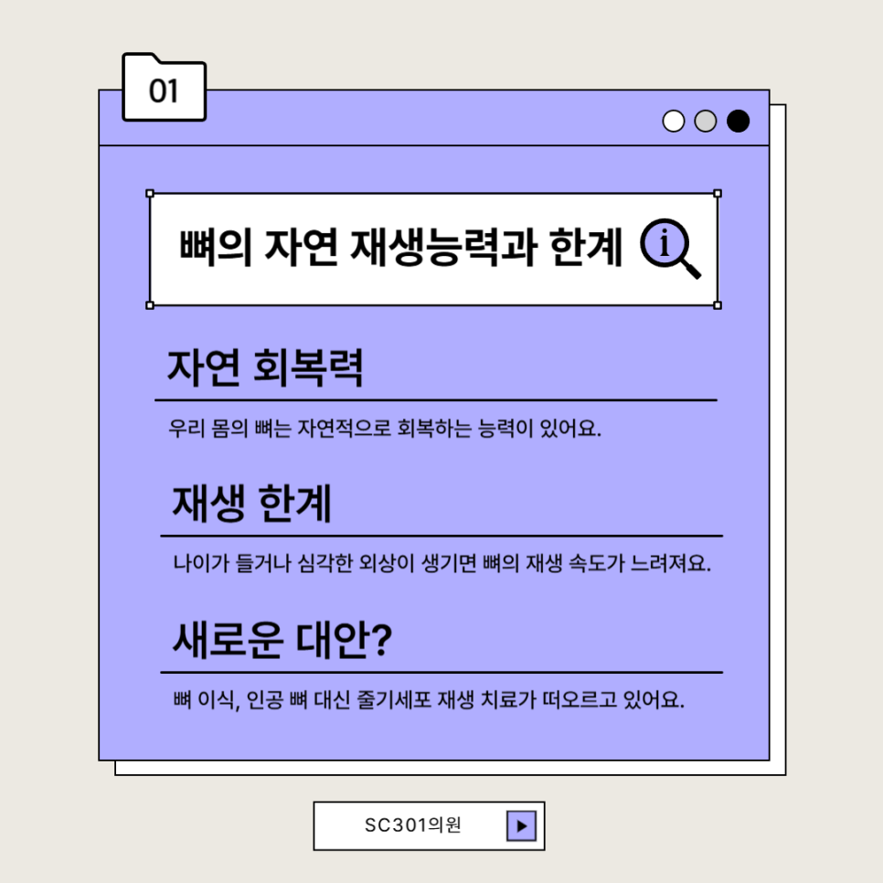 img 줄기세포로 뼈 재생이 가능할까? 지방유래 줄기세포(ADSC) 치료법 | SC301 성형외과 성슐랭 가이드