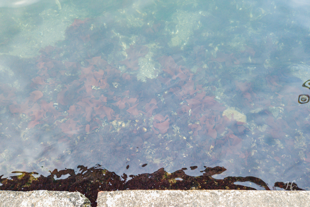 속초 여행 청초호 맑은 물