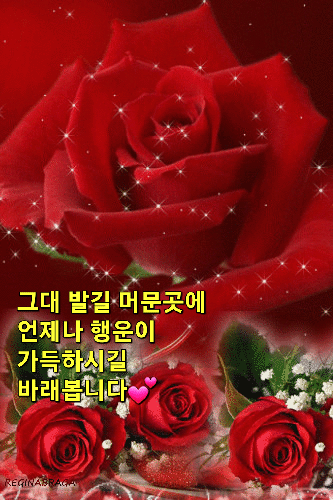  삶의 목적은 목적 있는 삶을 사는 것이다