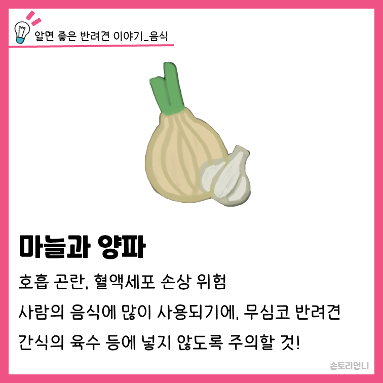 양파와 마늘