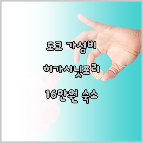 히가시니포리 호스텔, 도쿄 여행 가성