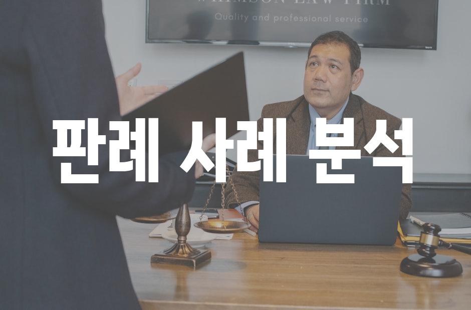 판례 사례 분석