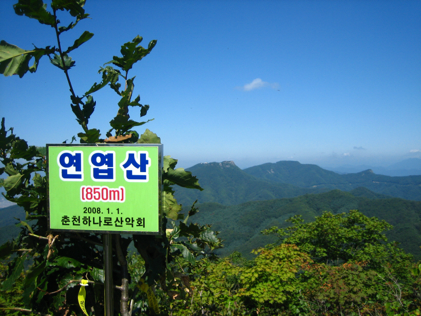 연엽산 이미지