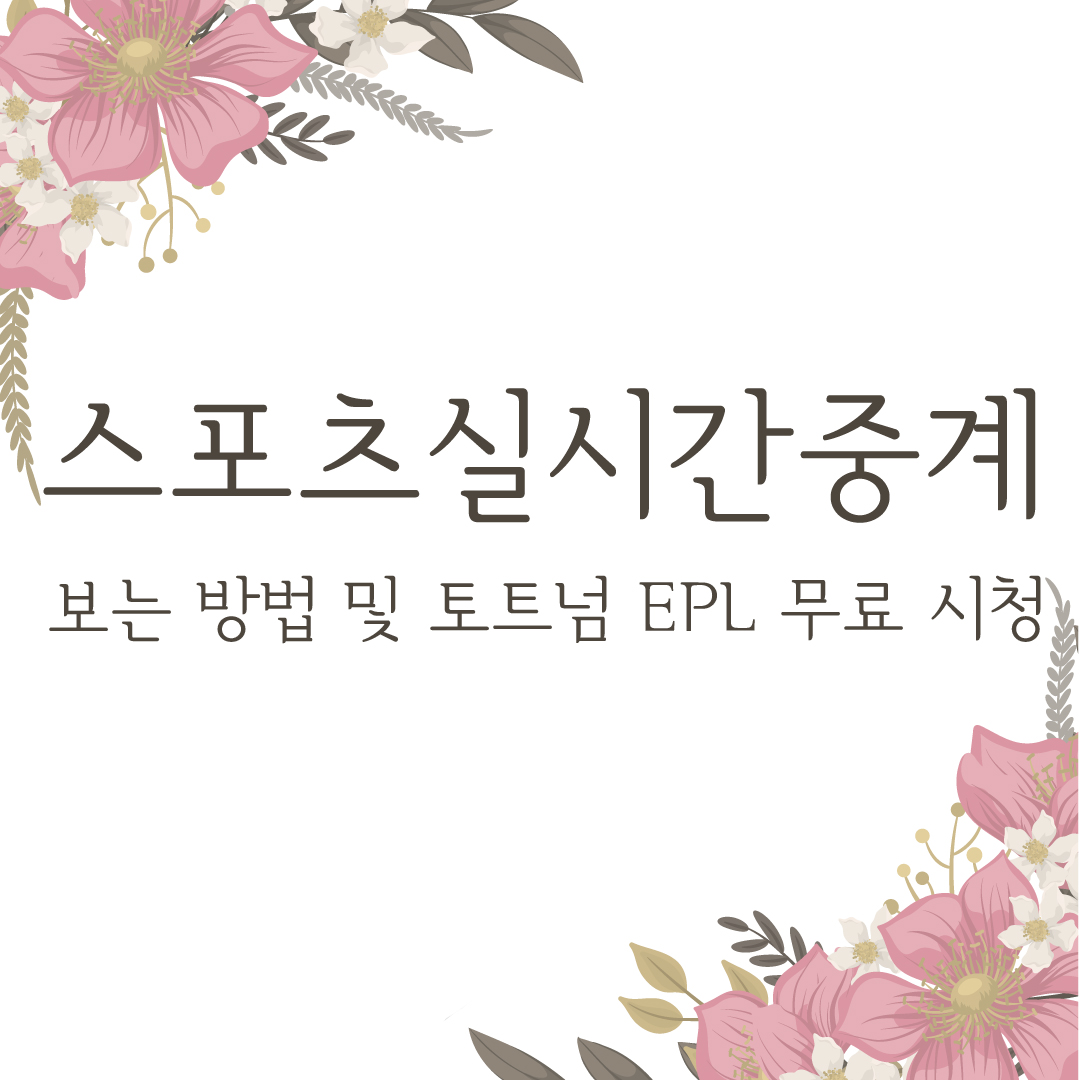  스포츠실시간중계 보는 방법 및 토트넘 EPL 무료 시청