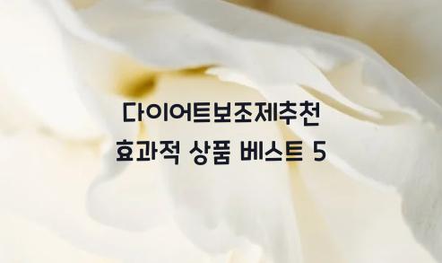 다이어트보조제추천