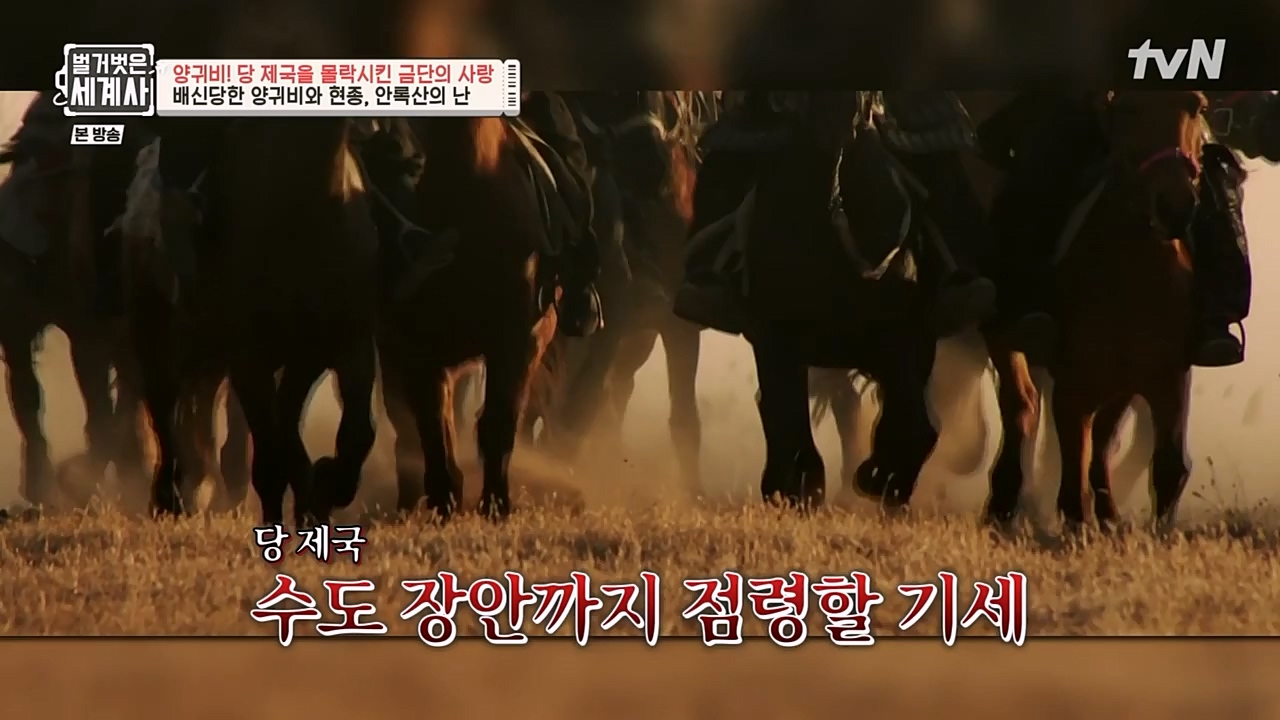 벌거벗은 세계사.E83.230125p-NEXT.mp4_20230303_204850.195.jpg