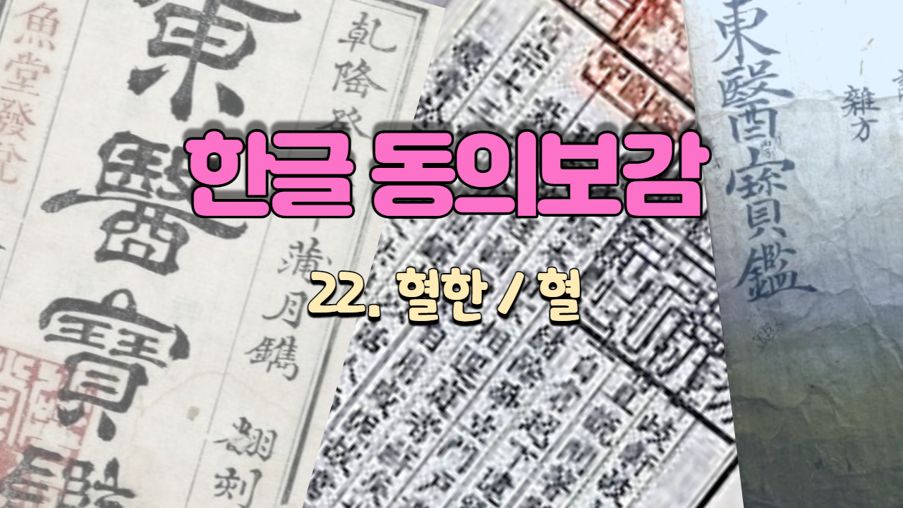  22. 혈한(血汗)/혈 ( 내경편 혈 )