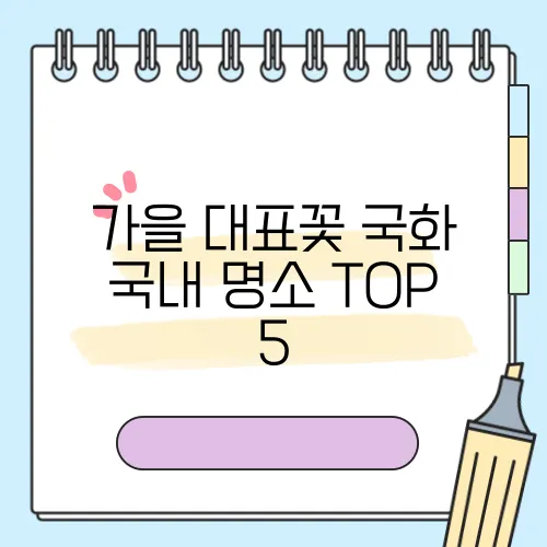 가을 대표꽃 국화 국내 명소 TOP 5