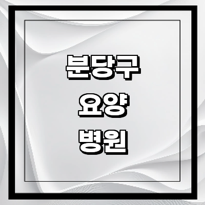 성남 분당구 요양병원
