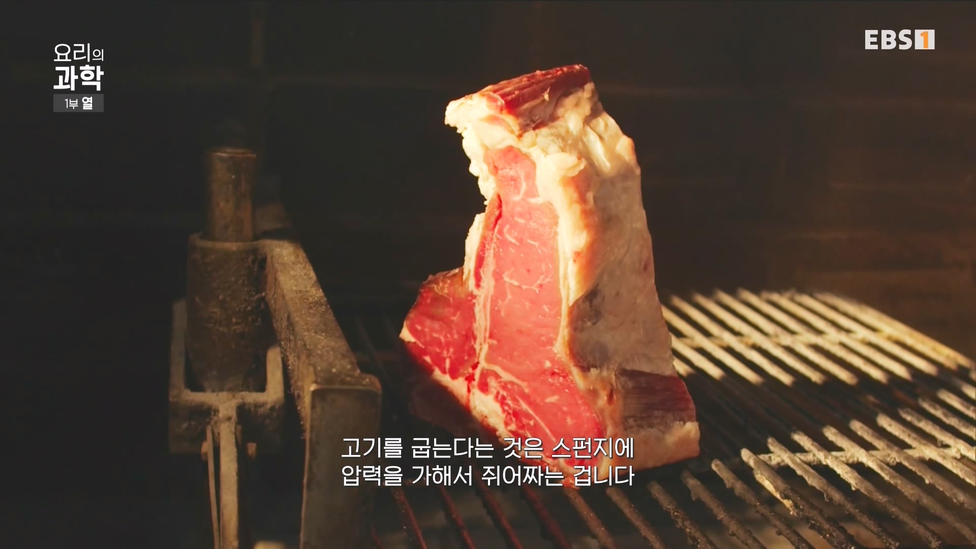 [다큐 스페셜] 요리의 과학 - 1부 열.mp4_20240411_194553.956.jpg